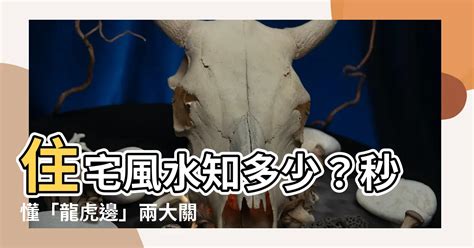 虎邊種樹|【住宅龍虎邊】住宅風水知多少？秒懂「龍虎邊」兩大。